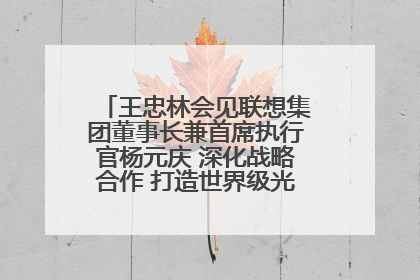 王忠林会见联想集团董事长兼首席执行官杨元庆 深化战略合作 打造世界级光电子信息产业集群