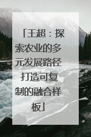 王超：探索农业的多元发展路径 打造可复制的融合样板