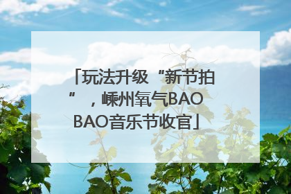 玩法升级“新节拍”，嵊州氧气BAOBAO音乐节收官