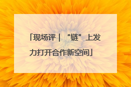 现场评｜“链”上发力打开合作新空间