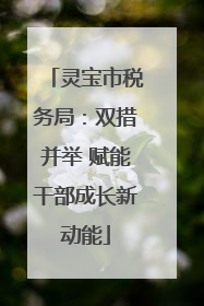 灵宝市税务局：双措并举 赋能干部成长新动能