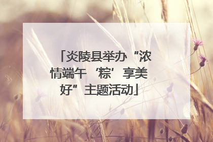 炎陵县举办“浓情端午‘粽’享美好”主题活动