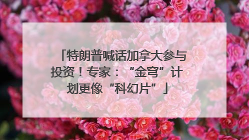 特朗普喊话加拿大参与投资！专家：“金穹”计划更像“科幻片”
