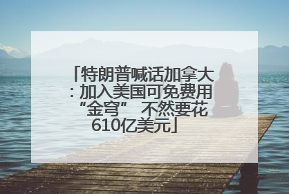 特朗普喊话加拿大：加入美国可免费用“金穹” 不然要花610亿美元