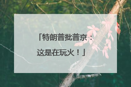 特朗普批普京：这是在玩火！