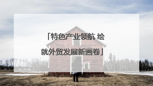 特色产业领航 绘就外贸发展新画卷