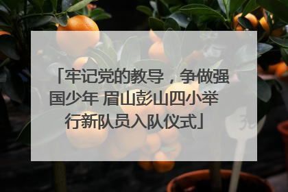 牢记党的教导，争做强国少年 眉山彭山四小举行新队员入队仪式