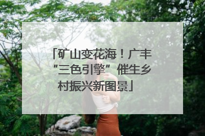 矿山变花海！广丰“三色引擎”催生乡村振兴新图景