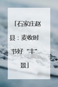 石家庄赵县：麦收时节好“丰”景