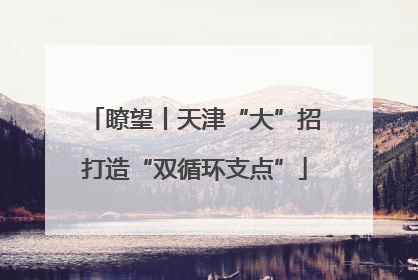 瞭望丨天津“大”招打造“双循环支点”
