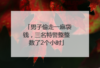 男子偷走一麻袋钱，三名特警整整数了2个小时