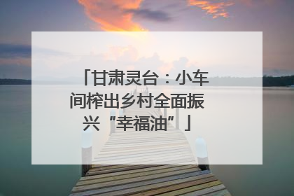 甘肃灵台：小车间榨出乡村全面振兴“幸福油”