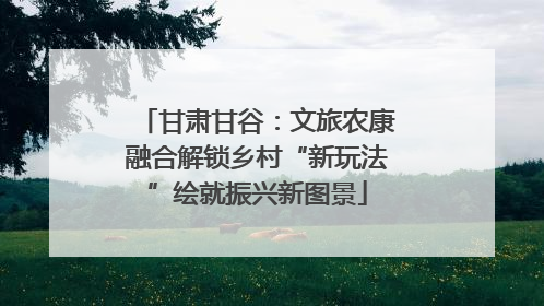甘肃甘谷：文旅农康融合解锁乡村“新玩法”绘就振兴新图景