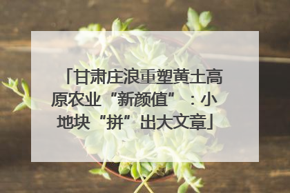 甘肃庄浪重塑黄土高原农业“新颜值”：小地块“拼”出大文章