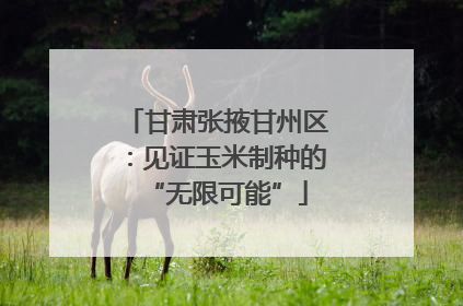 甘肃张掖甘州区：见证玉米制种的“无限可能”