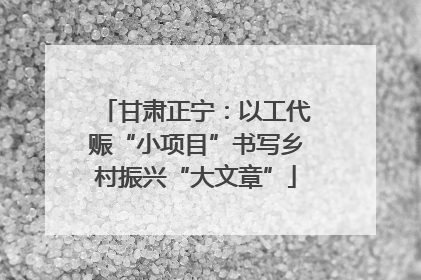 甘肃正宁：以工代赈“小项目”书写乡村振兴“大文章”