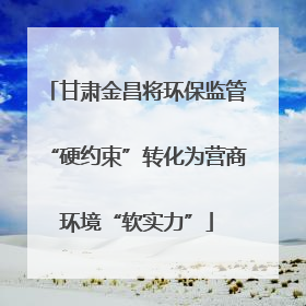 甘肃金昌将环保监管“硬约束”转化为营商环境“软实力”