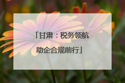 甘肃：税务领航 助企合规前行