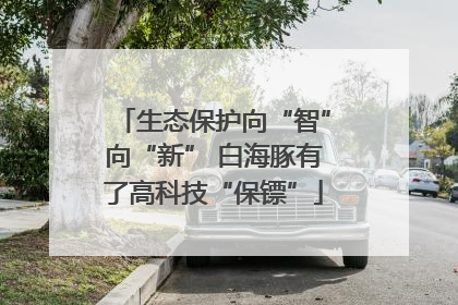 生态保护向“智”向“新” 白海豚有了高科技“保镖”