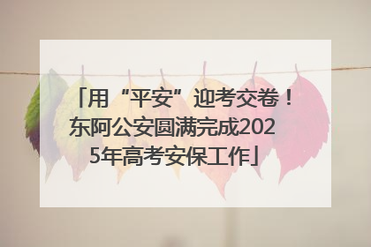 用“平安”迎考交卷！东阿公安圆满完成2025年高考安保工作