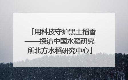 用科技守护黑土稻香——探访中国水稻研究所北方水稻研究中心