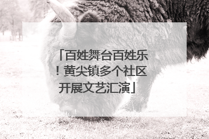 百姓舞台百姓乐！黄尖镇多个社区开展文艺汇演
