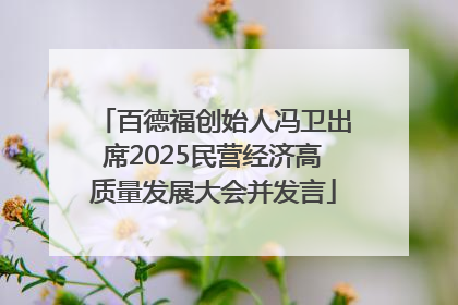 百德福创始人冯卫出席2025民营经济高质量发展大会并发言