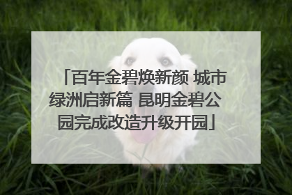 百年金碧焕新颜 城市绿洲启新篇 昆明金碧公园完成改造升级开园