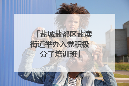 盐城盐都区盐渎街道举办入党积极分子培训班