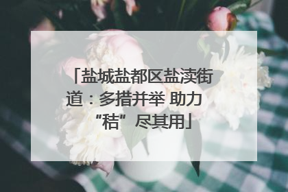 盐城盐都区盐渎街道：多措并举 助力“秸”尽其用