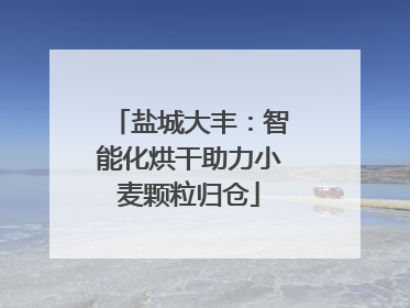 盐城大丰：智能化烘干助力小麦颗粒归仓
