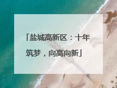 盐城高新区：十年筑梦，向高向新
