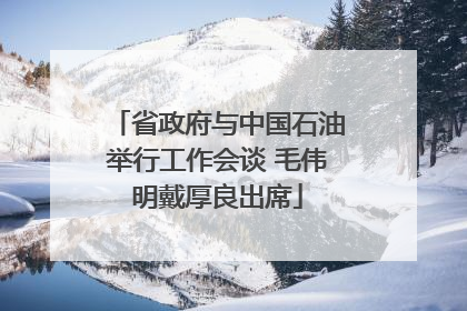 省政府与中国石油举行工作会谈 毛伟明戴厚良出席