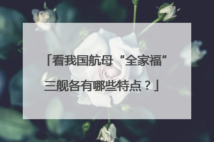 看我国航母“全家福” 三舰各有哪些特点？