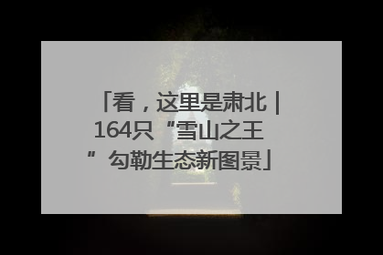 看，这里是肃北｜164只“雪山之王”勾勒生态新图景