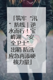 筑牢“汛”防线｜逆水而行！宝峰湖 “安全卫士” 出鞘 防汛应急再添硬核力量