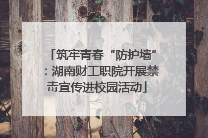 筑牢青春“防护墙”：湖南财工职院开展禁毒宣传进校园活动