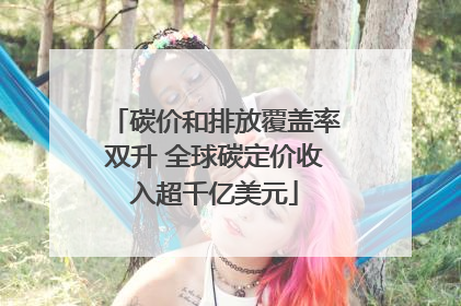 碳价和排放覆盖率双升 全球碳定价收入超千亿美元
