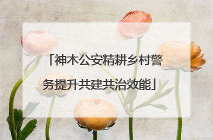 神木公安精耕乡村警务提升共建共治效能