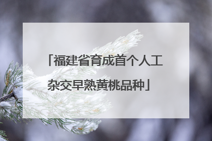 福建省育成首个人工杂交早熟黄桃品种