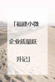 福建小微企业质量跃升记