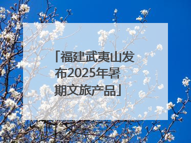 福建武夷山发布2025年暑期文旅产品