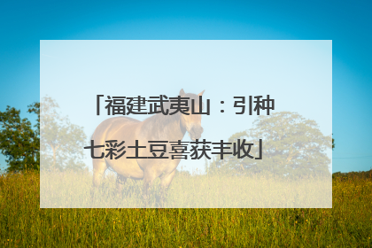 福建武夷山：引种七彩土豆喜获丰收
