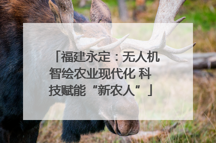 福建永定：无人机智绘农业现代化 科技赋能“新农人”
