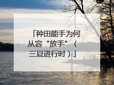 种田能手为何从容“放手”（三夏进行时）