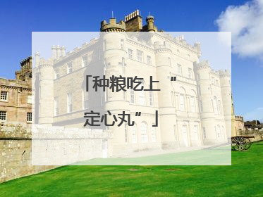 种粮吃上“定心丸”