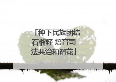 种下民族团结石榴籽 培育司法共治和谐花