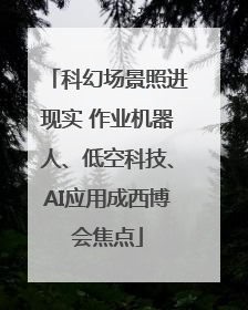 科幻场景照进现实 作业机器人、低空科技、AI应用成西博会焦点