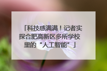 科技感满满！记者实探合肥高新区多所学校里的“人工智能”