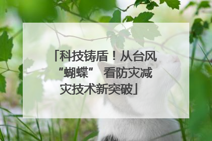 科技铸盾！从台风“蝴蝶” 看防灾减灾技术新突破